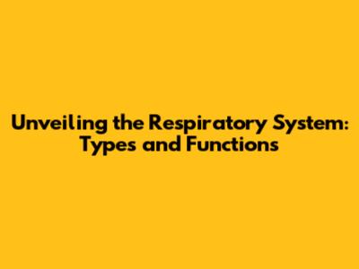 Unveiling the Respiratory System: Types and Functions