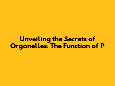 Unveiling the Secrets of Organelles: The Function of 'P'