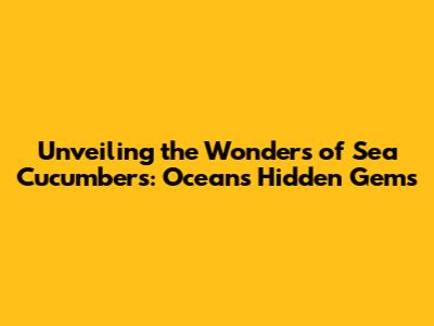 Unveiling the Wonders of Sea Cucumbers: Ocean's Hidden Gems