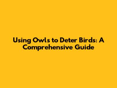 Using Owls to Deter Birds: A Comprehensive Guide