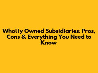Wholly Owned Subsidiaries: Pros, Cons & Everything You Need to Know