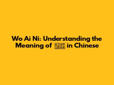 Wo Ai Ni: Understanding the Meaning of 愛你 in Chinese