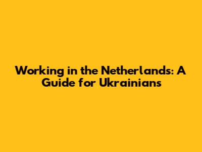 Working in the Netherlands: A Guide for Ukrainians