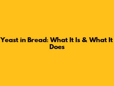 Yeast in Bread: What It Is & What It Does
