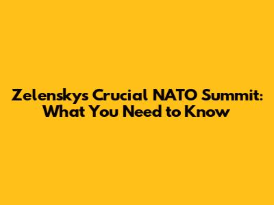 Zelensky's Crucial NATO Summit: What You Need to Know