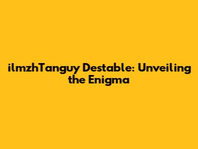 ilmzhTanguy Destable: Unveiling the Enigma